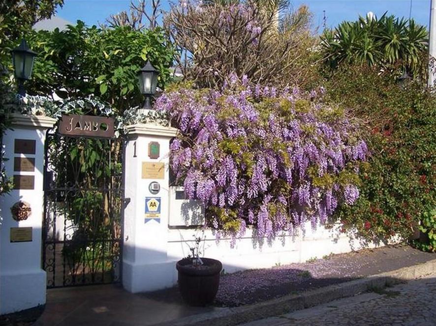 Jambo Guest House Cape Town Ngoại thất bức ảnh