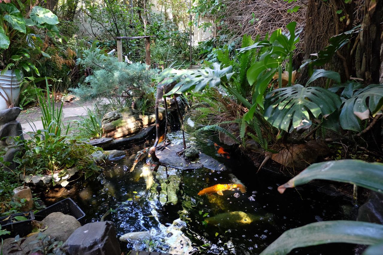 Jambo Guest House Cape Town Ngoại thất bức ảnh