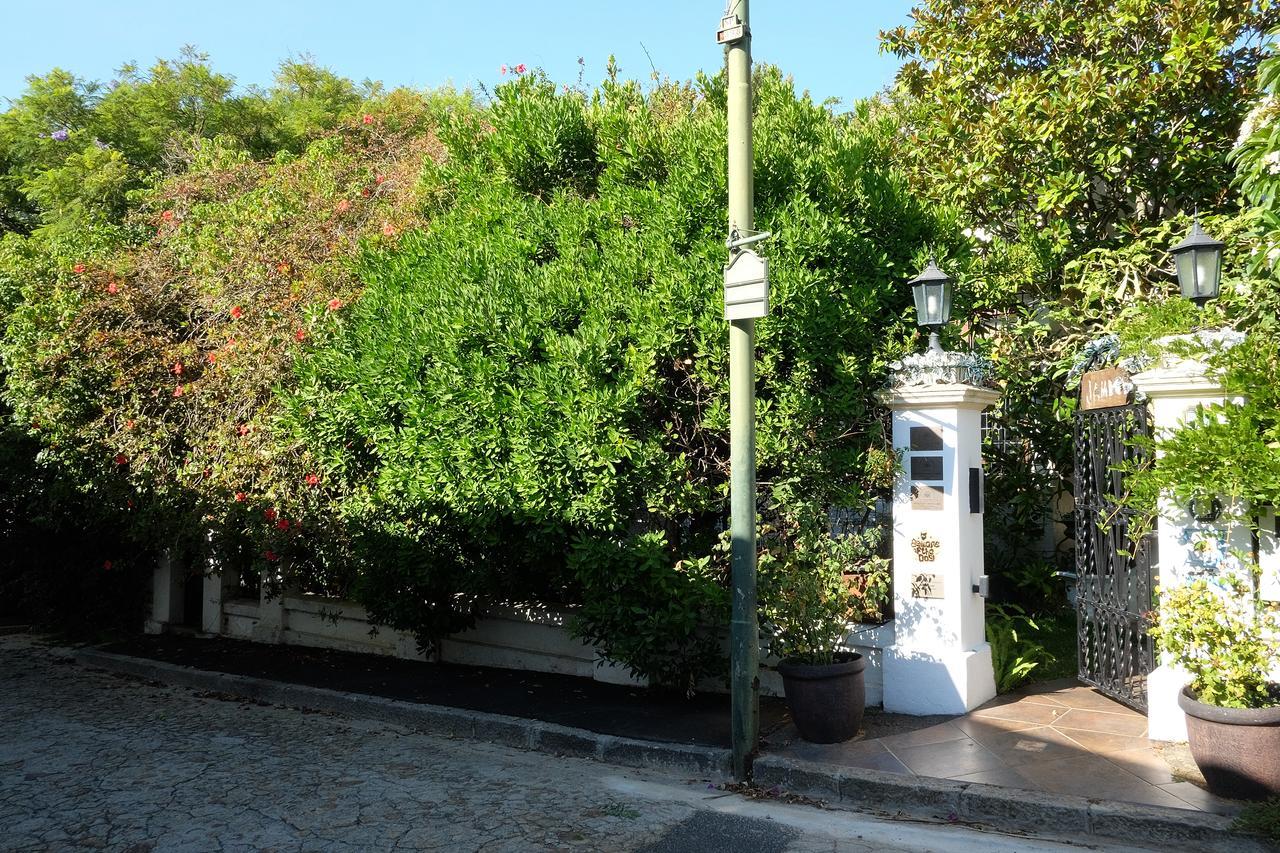 Jambo Guest House Cape Town Ngoại thất bức ảnh